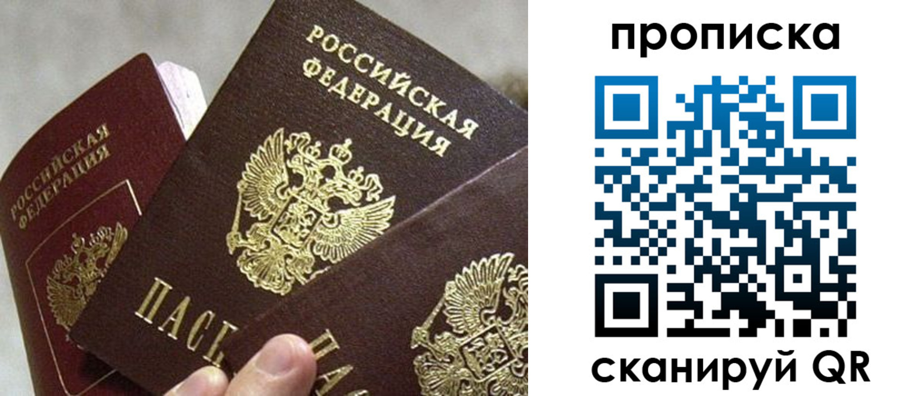 прописка 2025 в Сельцо
